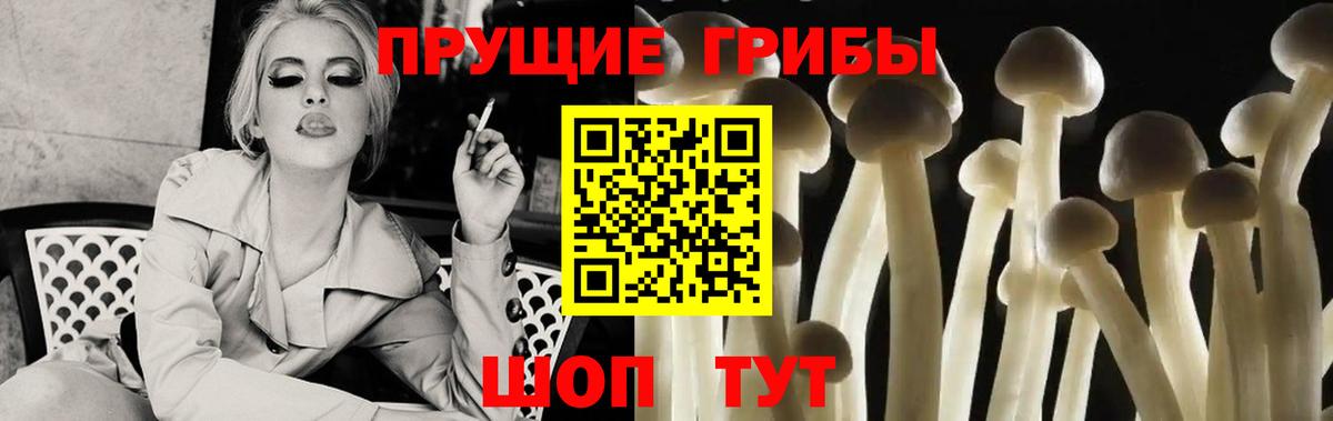 Галлюциногенные грибы Magic Shrooms  Вход с VPN  Тольятти 
